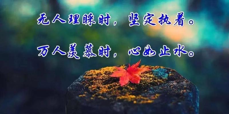 关于尊严的名言警句和好词好句（尊严的美丽——寻找人生的尊严）