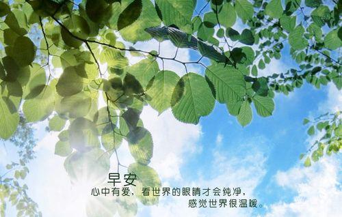 有关最新早安心语句子2024的短句（心语一句晨，温暖心灵间）