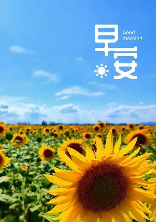 有关最新早安心语句子2024的短句（心语一句晨，温暖心灵间）