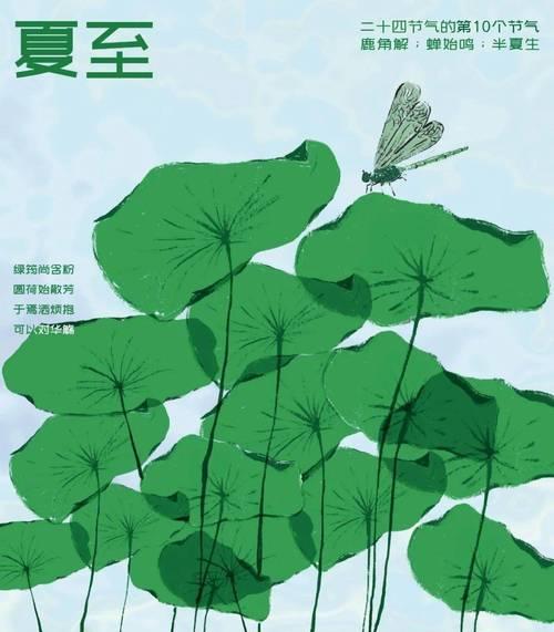 夏至节气的祝福语（万物生长茁壮，夏日璀璨）