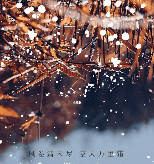 适合霜降发的朋友圈短句（霜降诗篇）