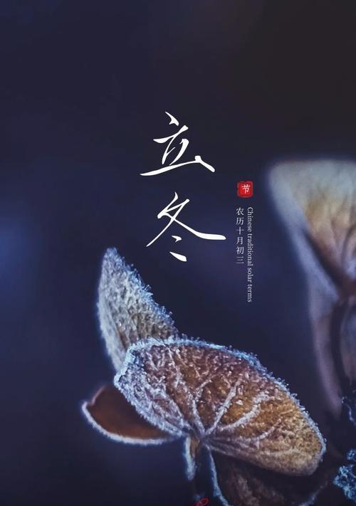 立冬祝福的话语（寒意袭人，思念温暖）