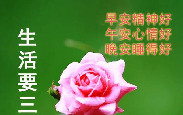 温暖早安说说心情短语（那些感动你心灵的话语）