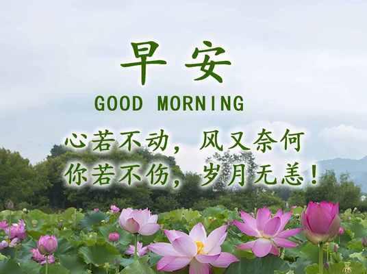 2024年早安问候语录（2023，我要用最美的语言，问候每一个心灵）