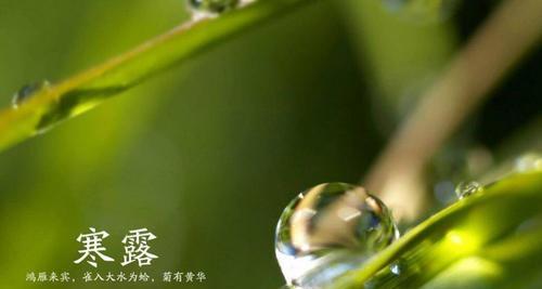 寒露祝福语温馨的话（最美的寒露时节）