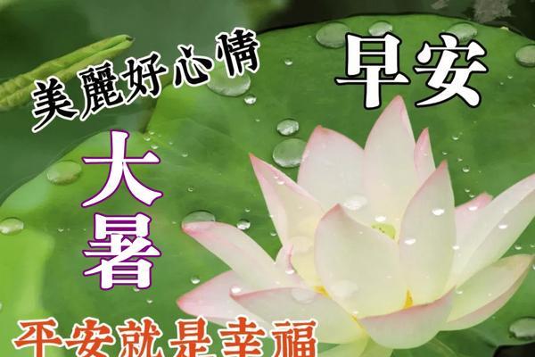 2024大暑节气经典说说祝福语（最经典的大暑节气祝福语句子说说）