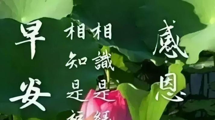 早安经典短句问候（美好的一天从早晨开始）