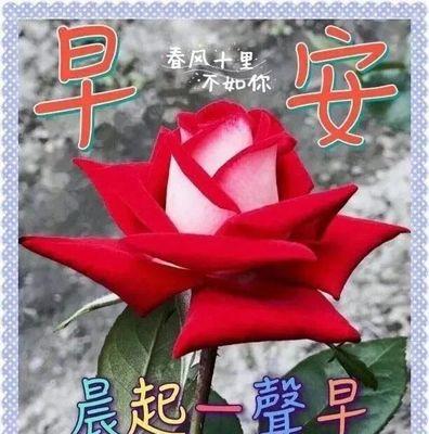 微信早安问候语 一句话（微信早安问候语精选——向每个清晨敬礼）