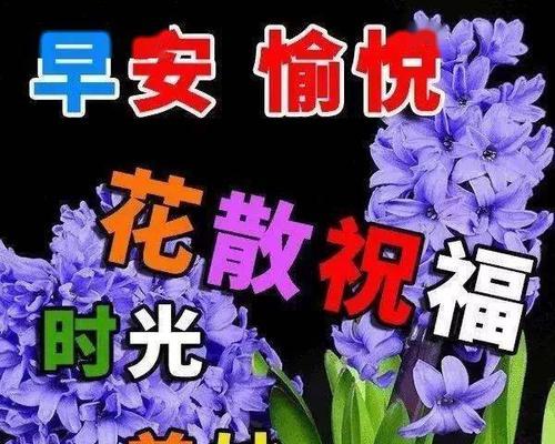 微信早安问候语 一句话（微信早安问候语精选——向每个清晨敬礼）