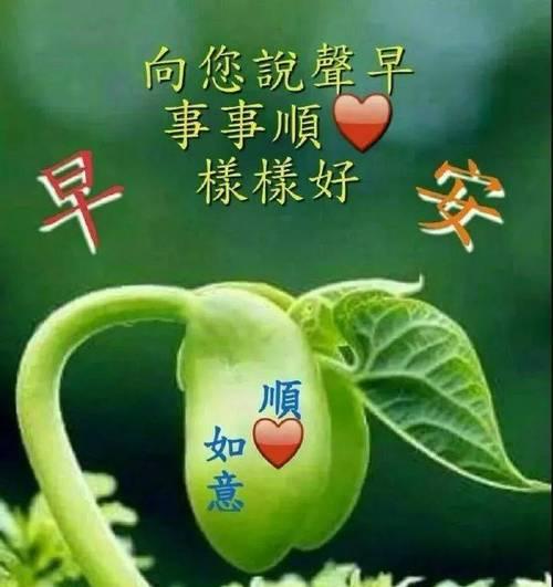 微信早安问候语温馨正能量（微信早安问候——给生活一份美好）