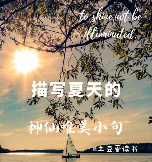 有关赞美夏天的好句子的短句有哪些（《夏日华章》）