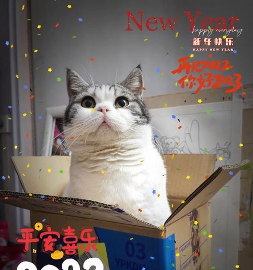 再见2024你好2021唯美短句（《再见2023）