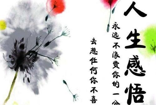 搞笑哲理句子句句穿心（感悟人生，笑看人世）