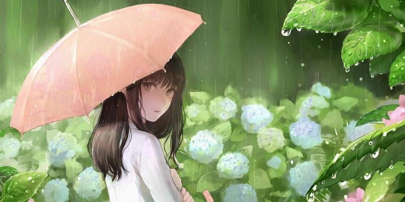 有关雨的优美句子有哪些（《雨，唯美的旋律》）
