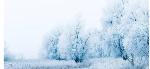 关于雪的句子唯美诗句（当雪花飘落时）