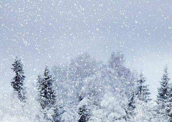 关于雪的句子唯美诗句（当雪花飘落时）
