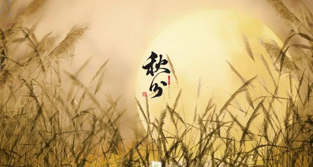 秋分的优美文案（有关秋分的文艺句子）