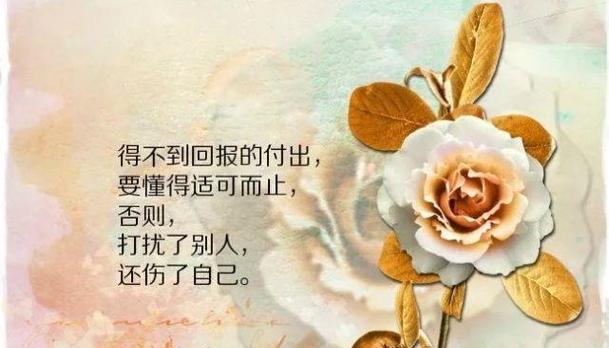 2024发朋友圈的教师节说说（感恩教师，让未来绽放）
