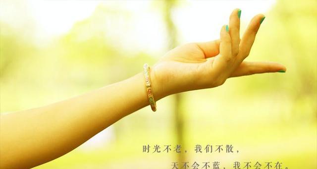 体现友谊的好句子（友谊的唯美短句赏析——用心灵之花绽放真挚情感）