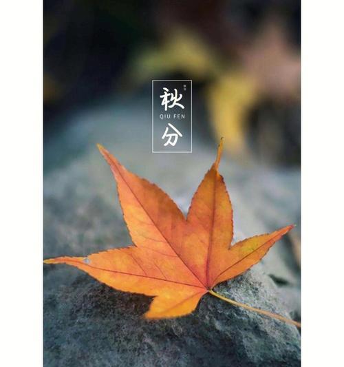 今天秋分的说说（今日秋分，清风微凉）