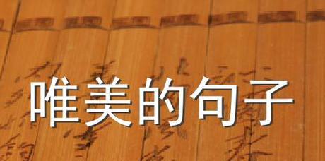 优美有哲理的句子30字（《瑰丽人生》）