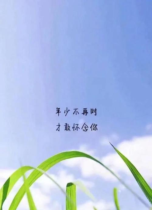 优美有哲理的句子30字（《瑰丽人生》）