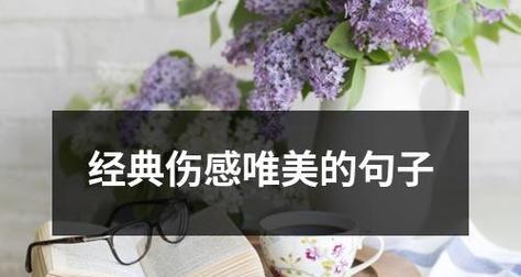 有关优美句子经典唯美的句子摘抄（花开花落，红尘往事）