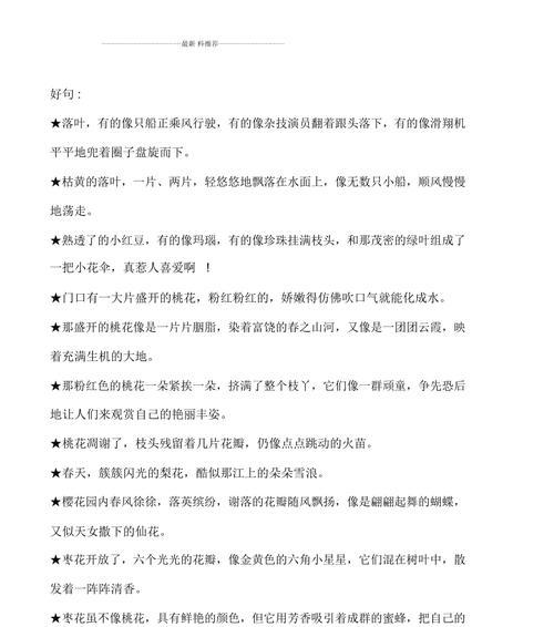 关于勇气的优美句子段落大全（勇往直前，成就不凡）