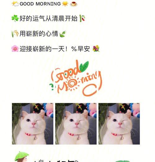 迎接七月的激励语句（1.七月的阳光，给你带来美好；）