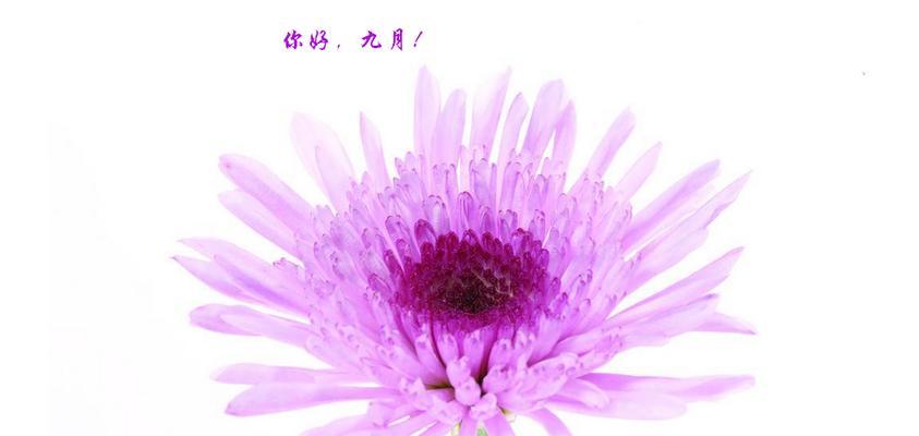 9月你好的句子短句唯美（怀揣梦想，迎接美好生活）