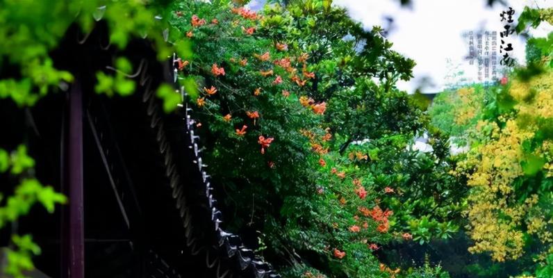 关于听雨的句子摘抄（听雨的唯美句子）