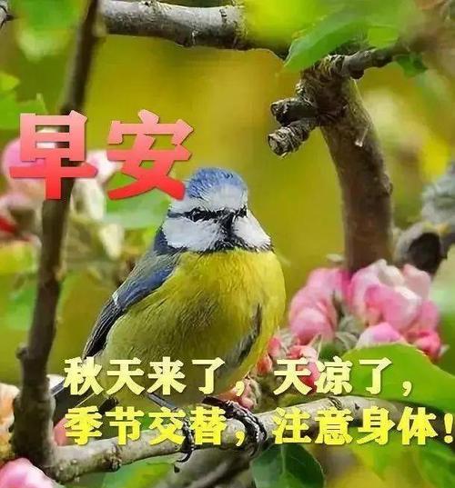 立秋早晨朋友圈问候语（一句唯美短语）