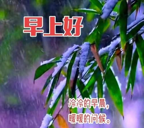 2024天气转冷问候语（暖意满溢——以天气转凉暖心祝福语2023为主题的短句）