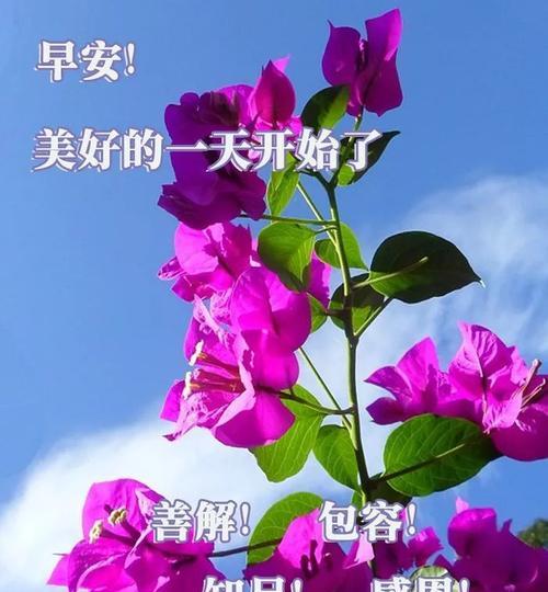 耶稣的文章（夏日温馨问候）