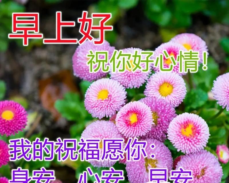 耶稣的文章（夏日温馨问候）