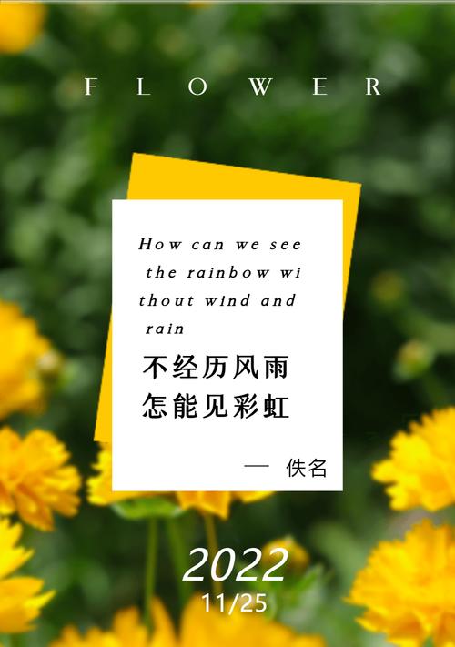关于芒种的朋友圈文案（用行动诠释“芒种”）