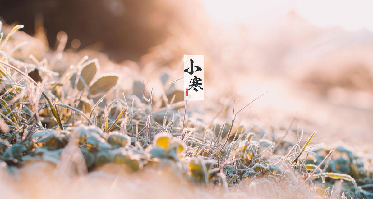 关于发圈天气冷的说说（温馨的季节，温暖的句子】）