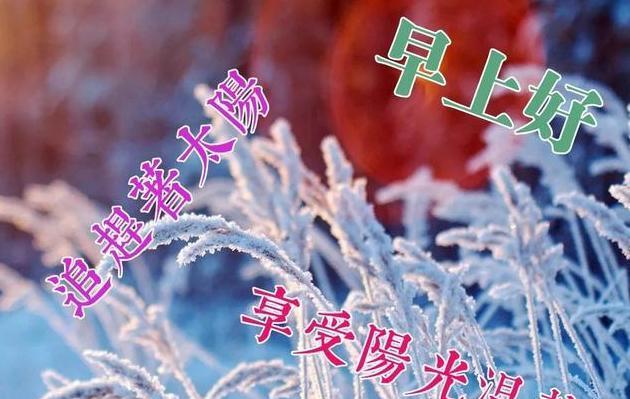 有关天气降温问候句子说说最新的好句（《冷霜降临，秋意渐浓》）