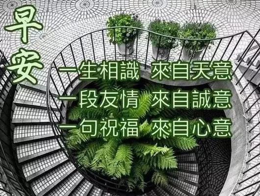 给抗击疫情的工作人员的祝福语（致敬一线疫情人员）