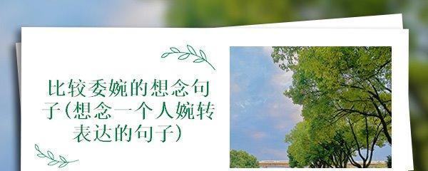 有关思念的优美句子（思念之花：唯美句子荟萃）