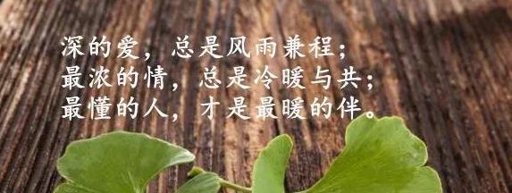经典搞笑哲理语录（《搞笑哲理）