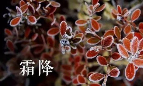 霜降怎么发朋友祝福的说说（感受秋意，享受祝福）
