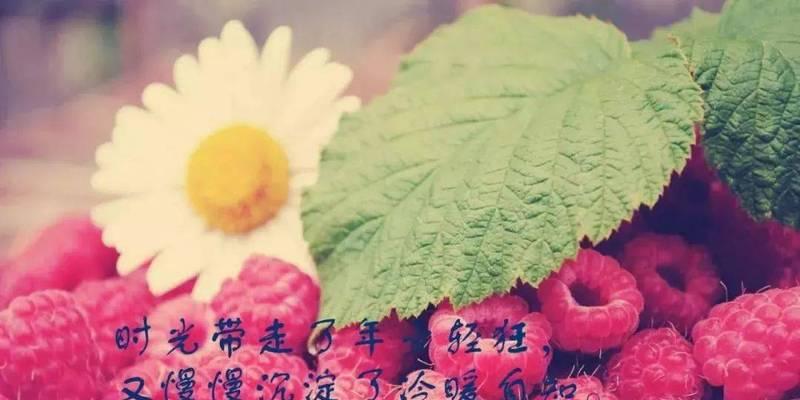 适合早上发表的说说（清晨美好，心情）