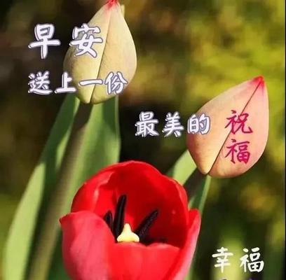 早上朋友圈问候语温馨正能量（用唯美的话语传递美好，开启精彩的一天）