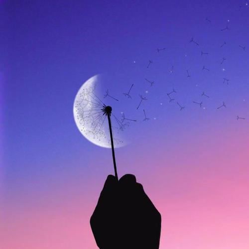 适晚上合发朋友圈的句子（夜色如梦，静谧而美）