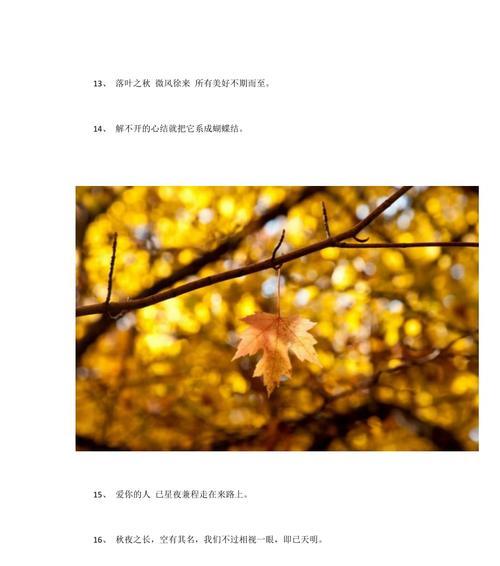 适合晚上两点发朋友圈的句子（深夜清风，心灵之旅）
