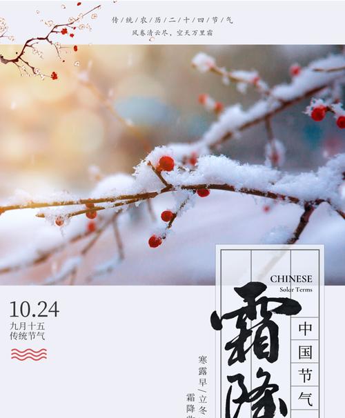 霜降的说说心情短语人生感悟（寒意侵袭，唯美短句飘荡）