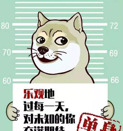 适合七夕单身狗发朋友圈的文案（让单身也可以过得精彩）