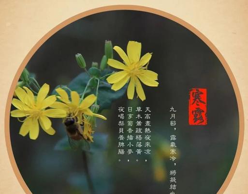 2018寒露节气短信祝福语录（用珍珠串起来的节气祝福）