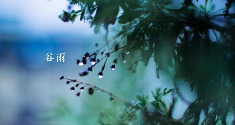 谷雨的语句（春天的气息悄然而至）